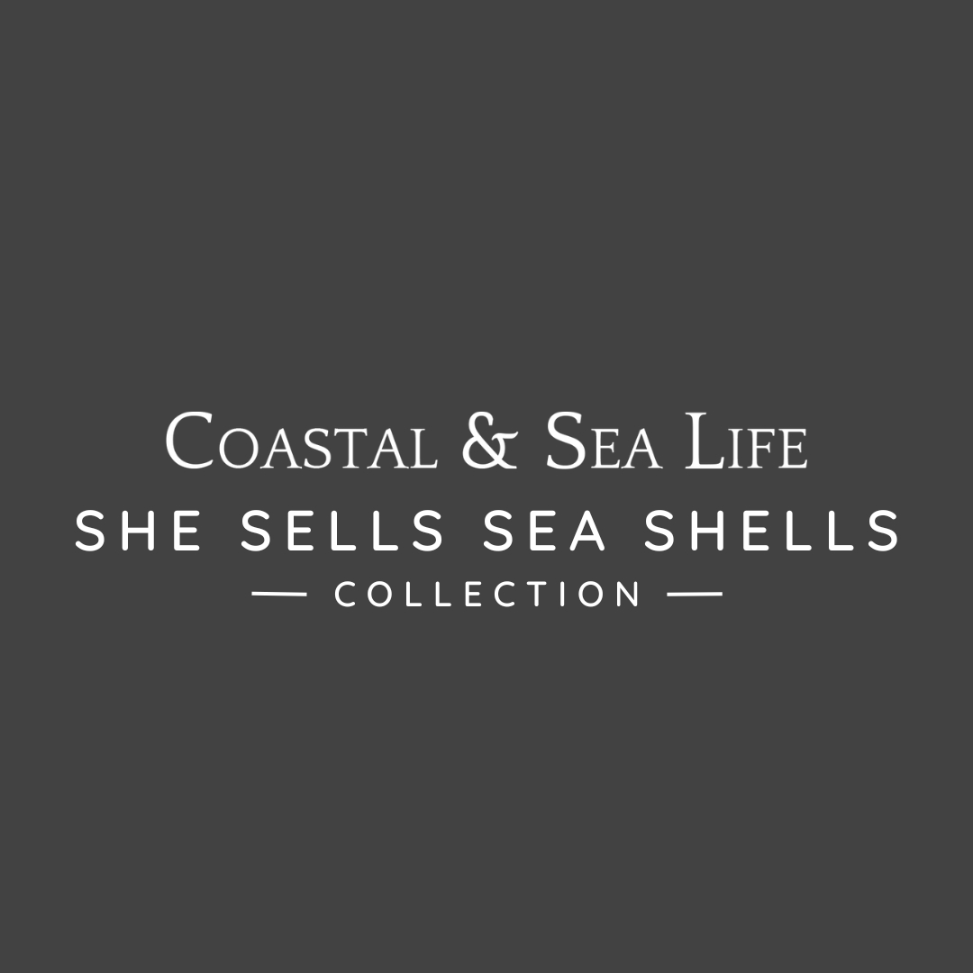 She Sells Sea Shells